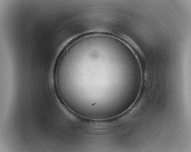 X0000114550972200910191408