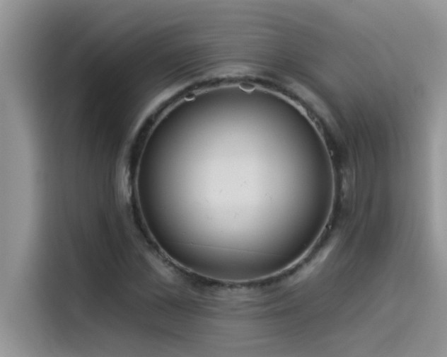 X0000114550973200910191408