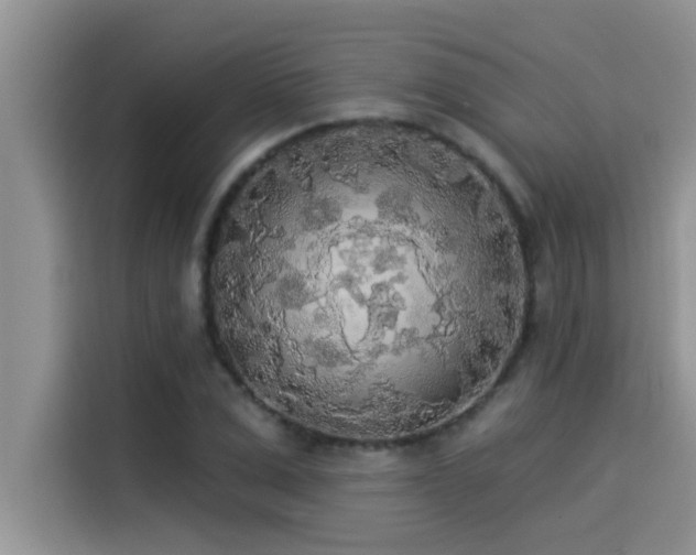 X0000114550975200910191408