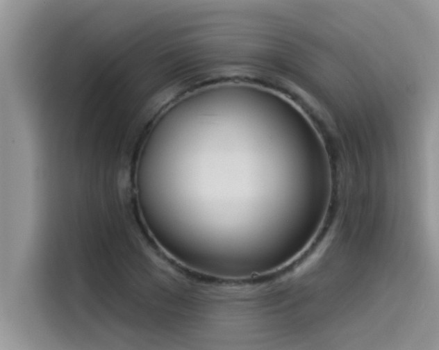 X0000114550977200910191408