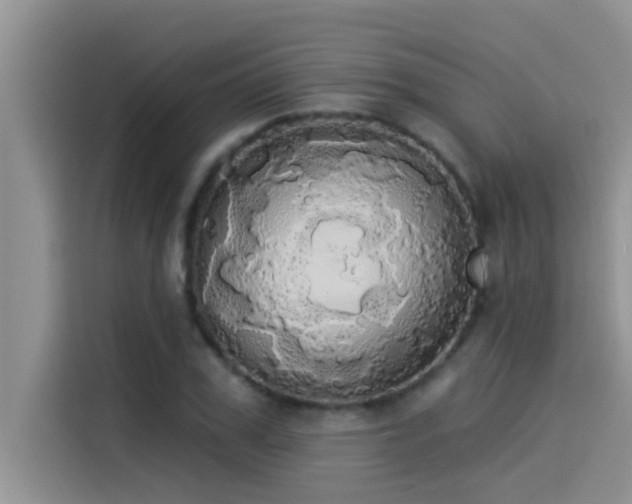 X0000114550979200910191408