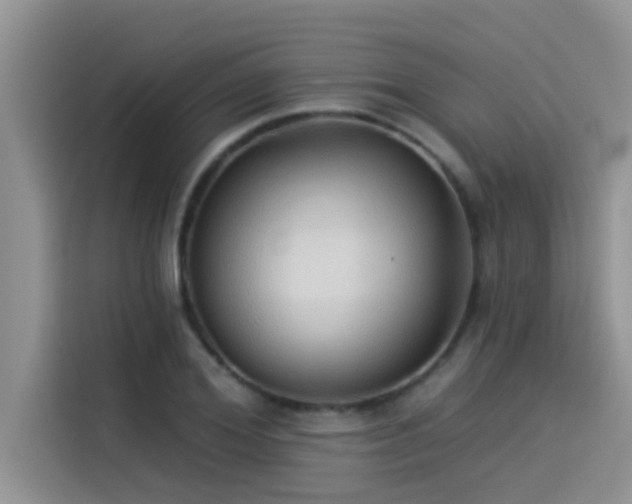 X0000114550980200910191408