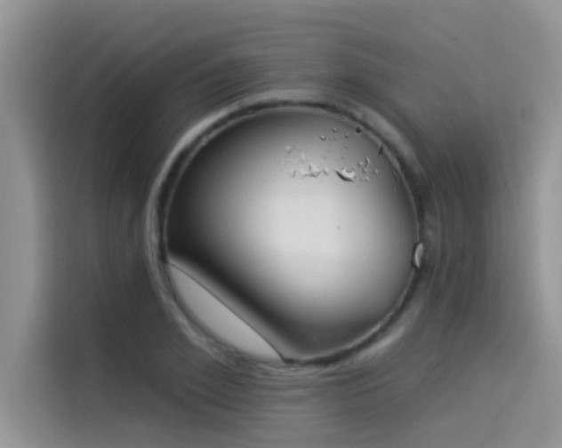 X0000114550981200910191408