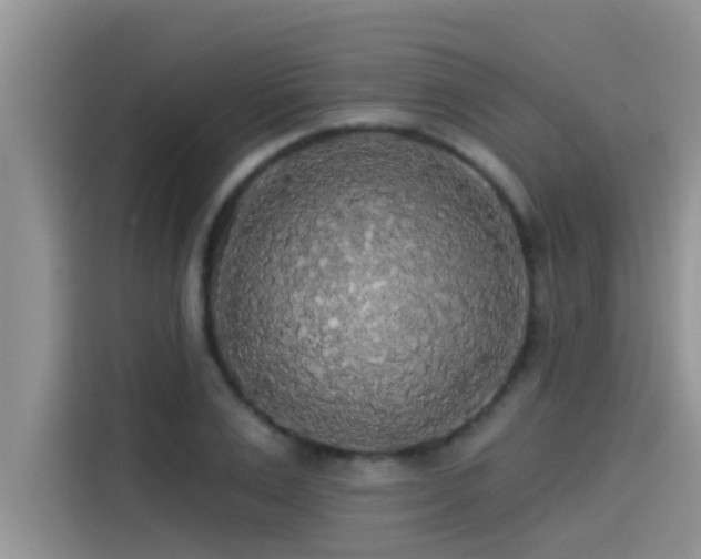 X0000114550983200910191408