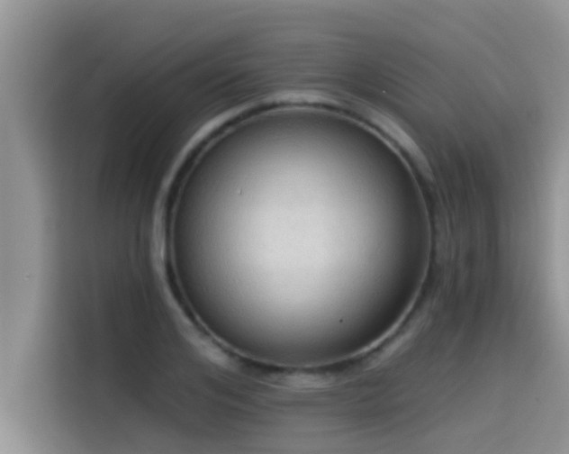 X0000114550984200910191408