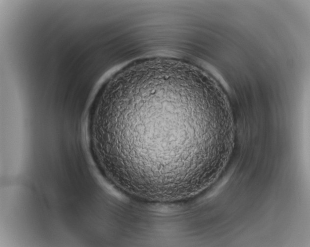 X0000114550987200910191408