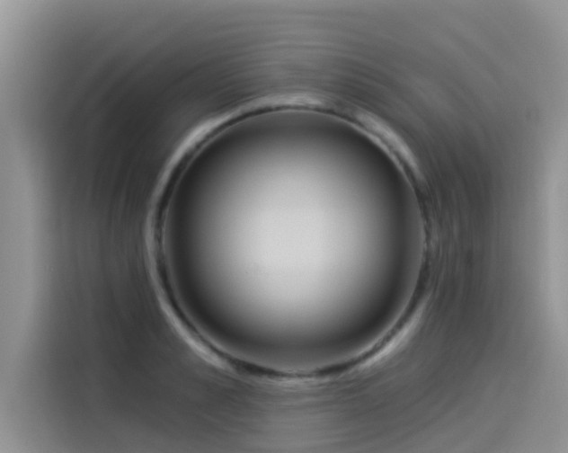 X0000114550989200910191408