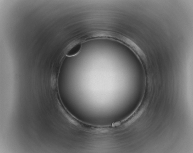 X0000114550993200910191407