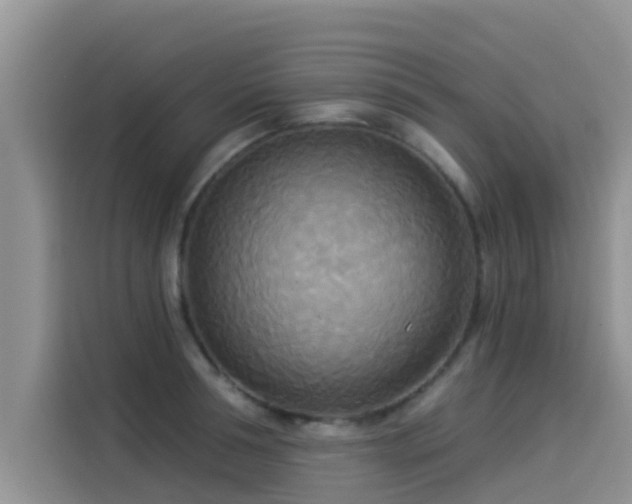 X0000114550994200910191407