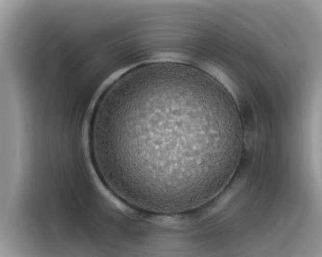 X0000114550995200910191407