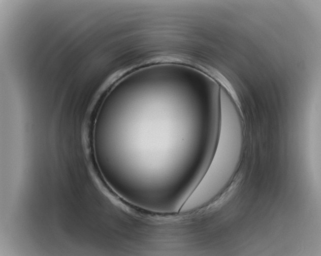 X0000114550997200910191407