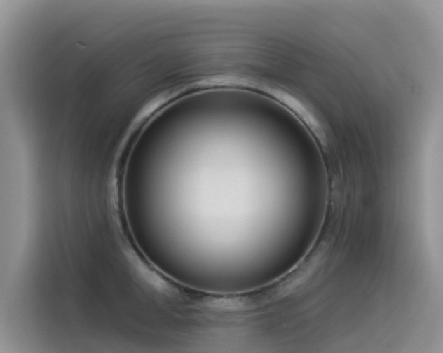 X0000114550998200910191407