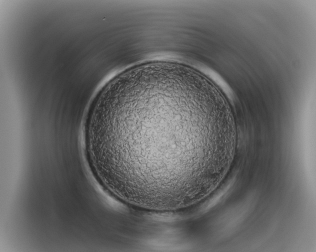 X0000114550999200910191407