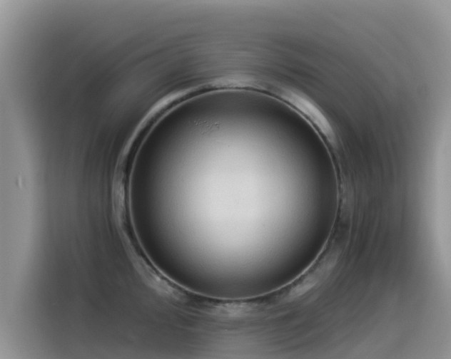 X0000114551000200910191407