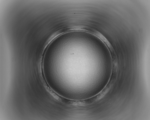 X0000114551002200910191407