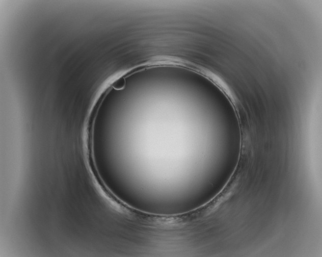 X0000114551003200910191407
