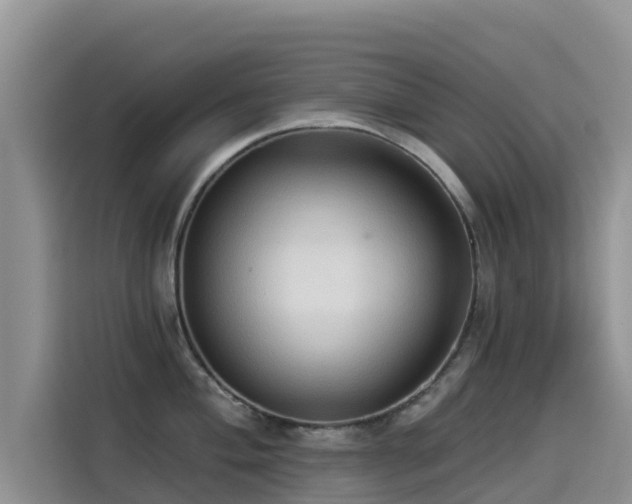 X0000114551004200910191407