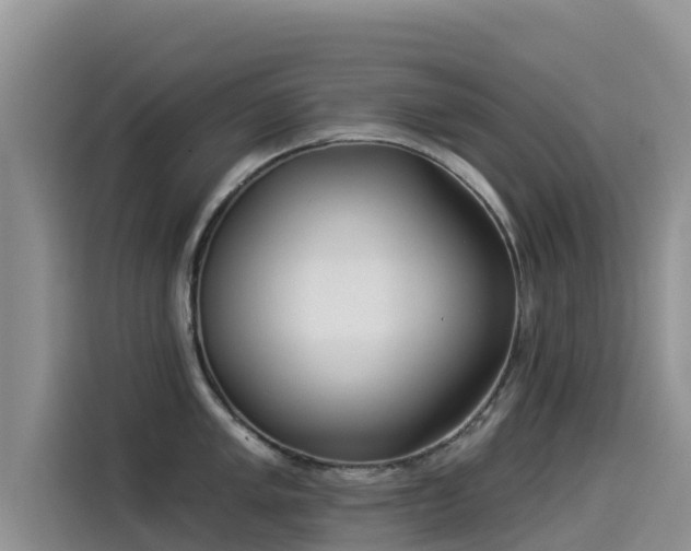 X0000114551005200910191407