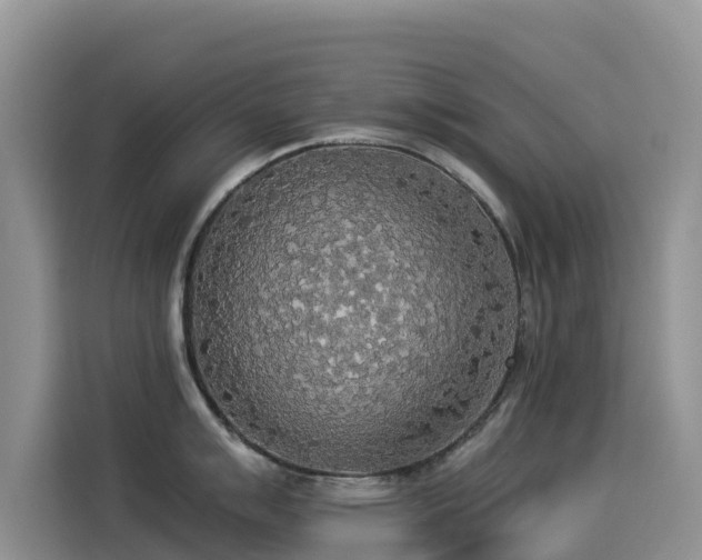 X0000114551007200910191407