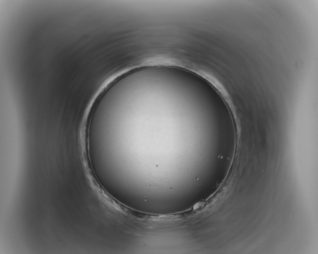 X0000114551008200910191407