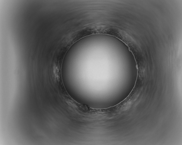 X0000114551010200910191407