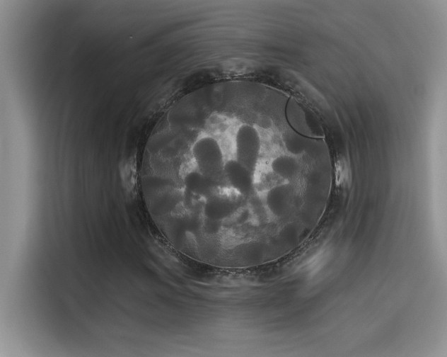X0000114551011200910191407