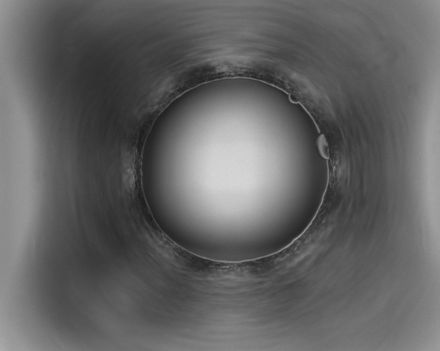 X0000114551012200910191407