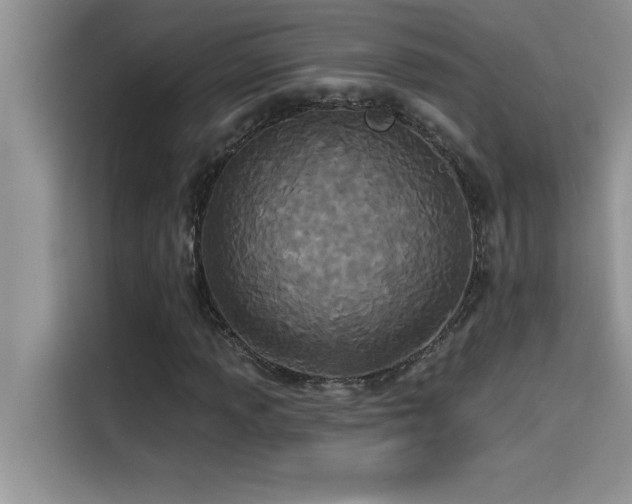 X0000114551013200910191407