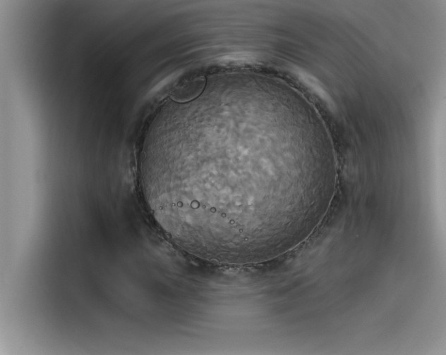 X0000114551015200910191407