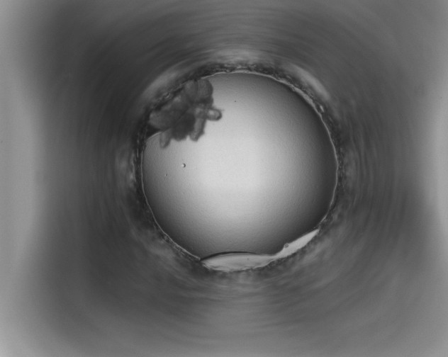 X0000114551016200910191407
