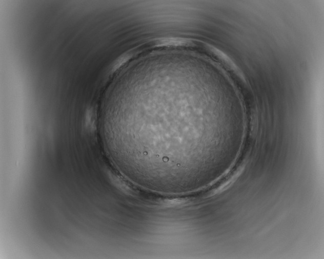 X0000114551017200910191407