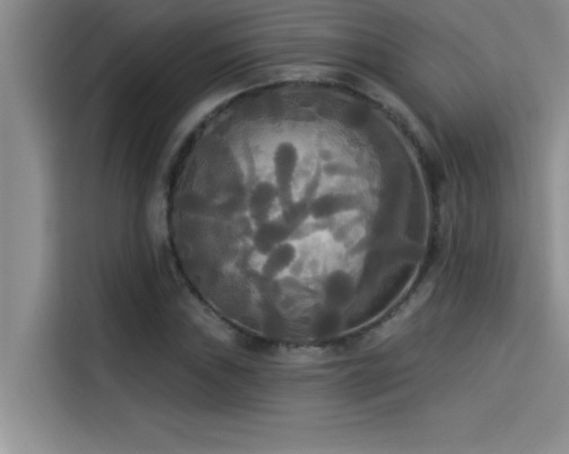 X0000114551019200910191407