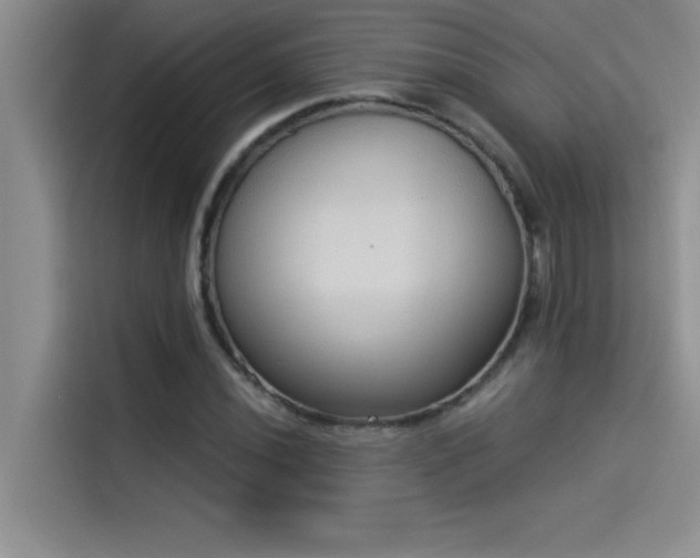 X0000114551020200910191407