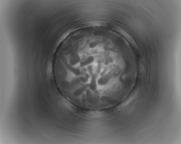 X0000114551023200910191407