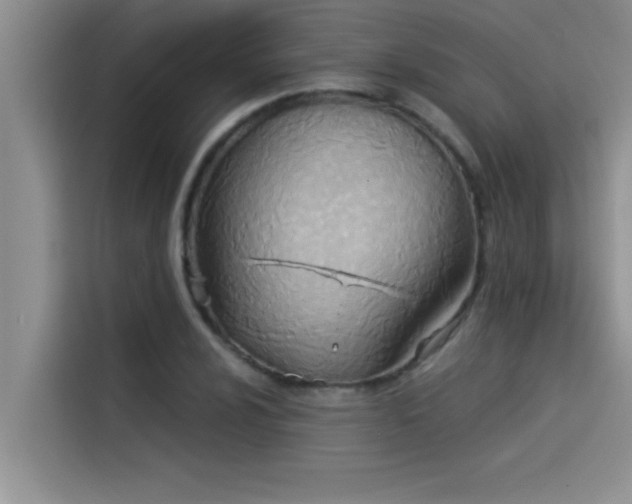 X0000114551024200910191407