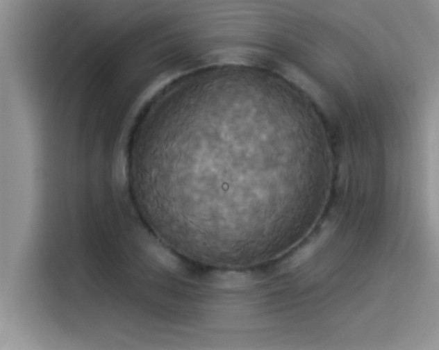 X0000114551027200910191407