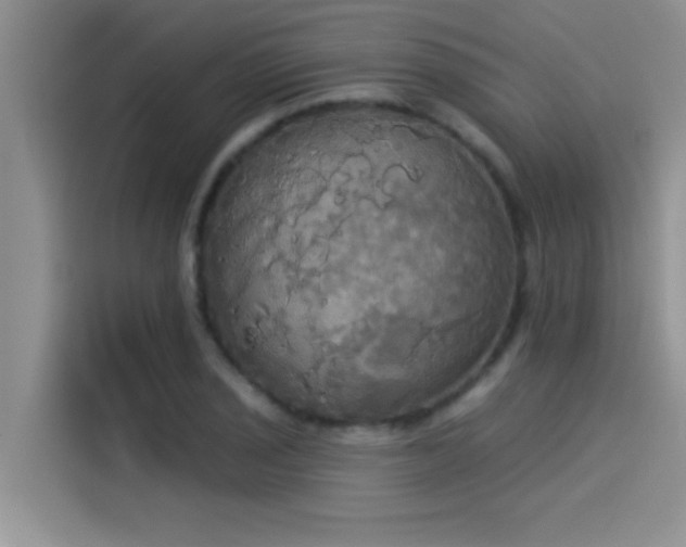 X0000114551029200910191407