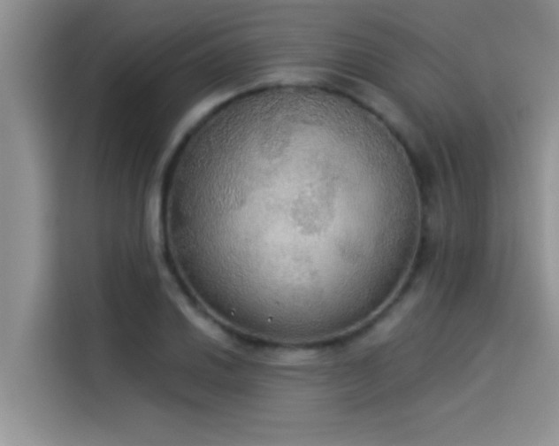 X0000114551030200910191407