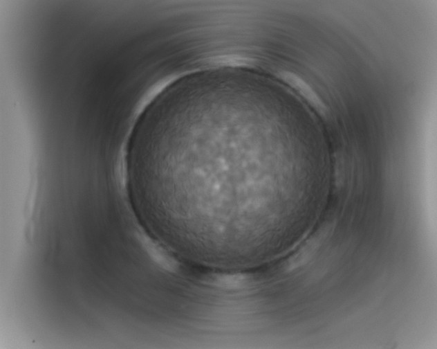 X0000114551031200910191407