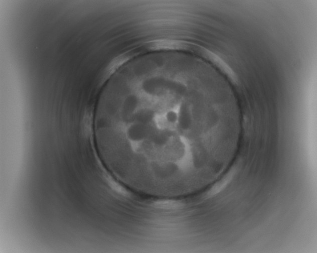 X0000114551033200910191407
