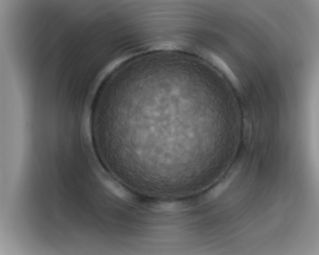 X0000114551035200910191407