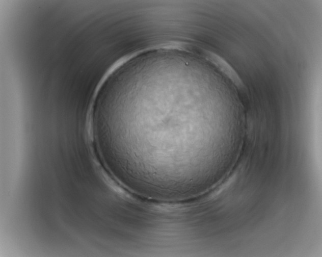 X0000114551036200910191407