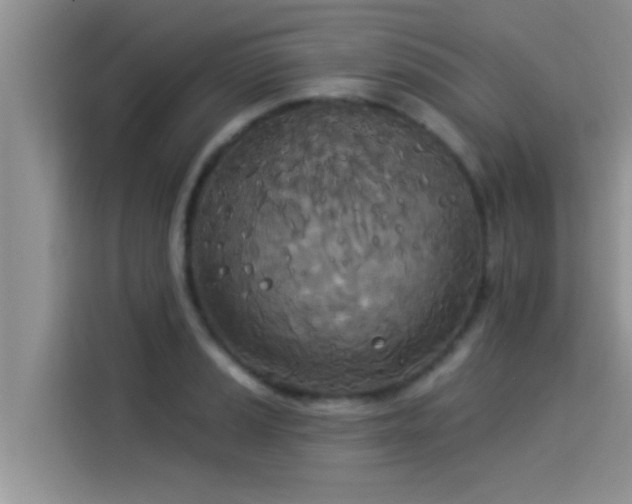 X0000114551037200910191407