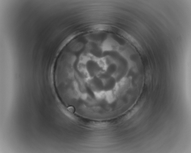 X0000114551039200910191407