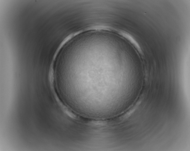 X0000114551040200910191407