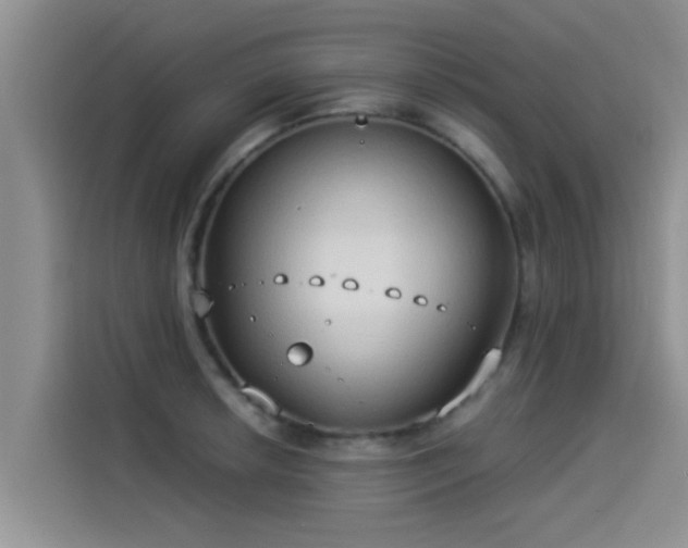 X0000114551042200910191407