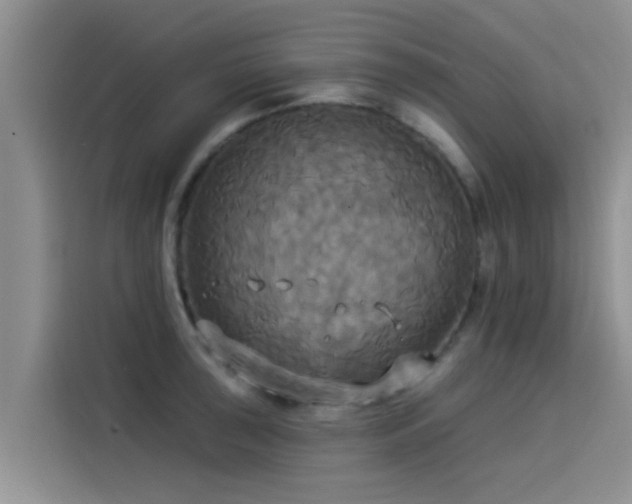 X0000114551043200910191407