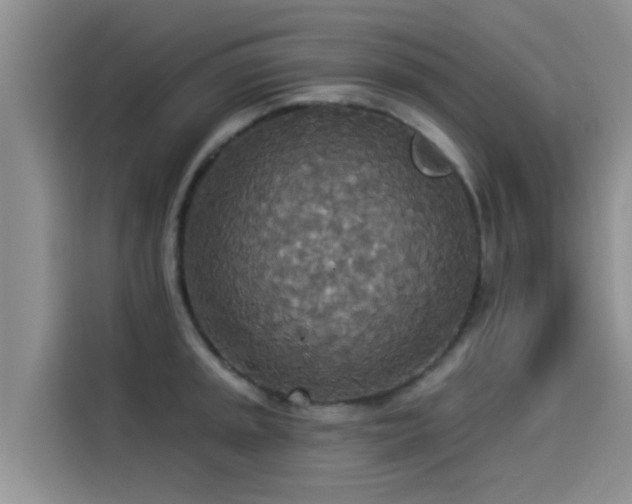 X0000114551045200910191407