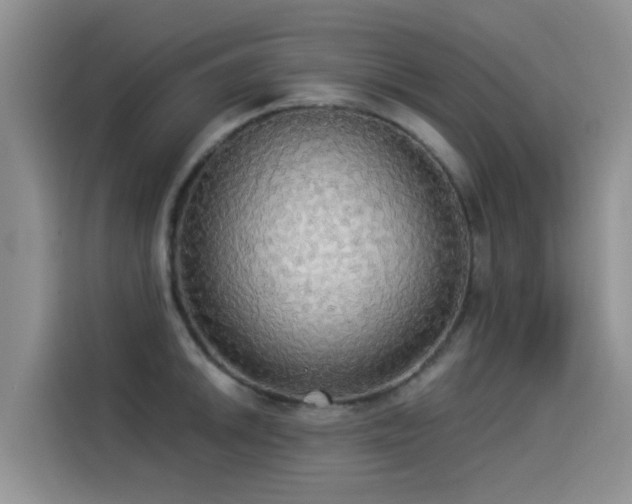 X0000114551046200910191407