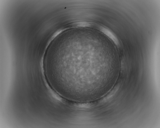 X0000114551047200910191407